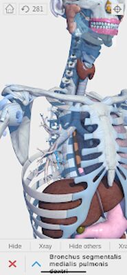 Скачать Visual Anatomy 3D - Human [Полная версия] RU apk на Андроид
