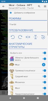 Скачать vet-Anatomy [Полная версия] RUS apk на Андроид