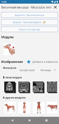Скачать vet-Anatomy [Полная версия] RUS apk на Андроид