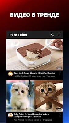 Скачать Pure Tuber: Block Ads on Video [Premium] RUS apk на Андроид