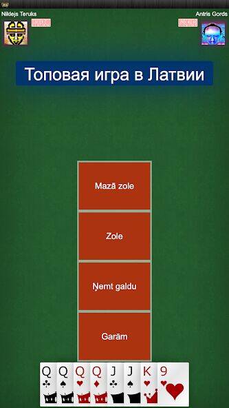 Скачать взломанную Игра в карты Золе: RaccoonZole [Бесплатные покупки] MOD apk на Андроид