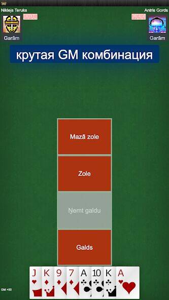 Скачать взломанную Игра в карты Золе: RaccoonZole [Бесплатные покупки] MOD apk на Андроид
