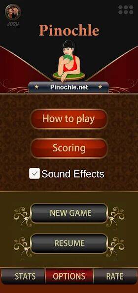 Скачать взломанную Pinochle.Net [Много монет] MOD apk на Андроид