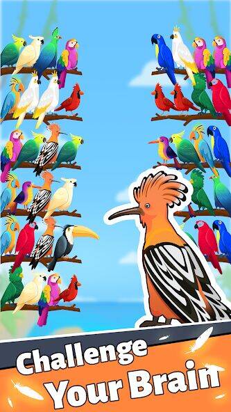 Скачать взломанную Сортировка по цвету птицы [Много денег] MOD apk на Андроид