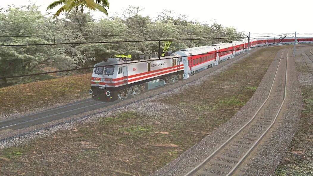 Скачать взломанную Indian Railway Train Simulator [Много монет] MOD apk на Андроид