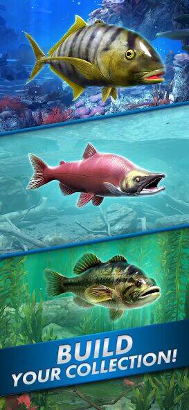 Скачать взломанную Ultimate Fishing! Fish Game [Мод меню] MOD apk на Андроид
