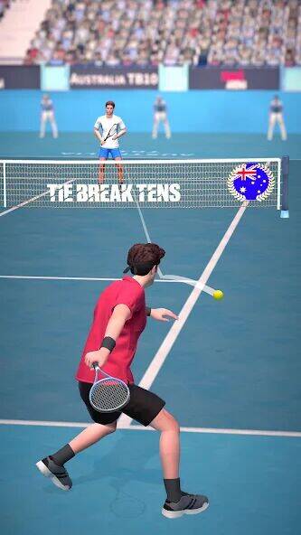 Скачать взломанную Tennis Arena [Мод меню] MOD apk на Андроид