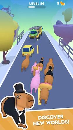 Скачать взломанную Capybara Rush [Много денег] MOD apk на Андроид