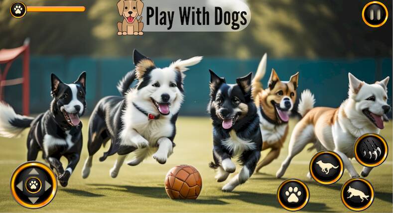 Скачать взломанную Dog Simulator: Dog Life Games [Много денег] MOD apk на Андроид