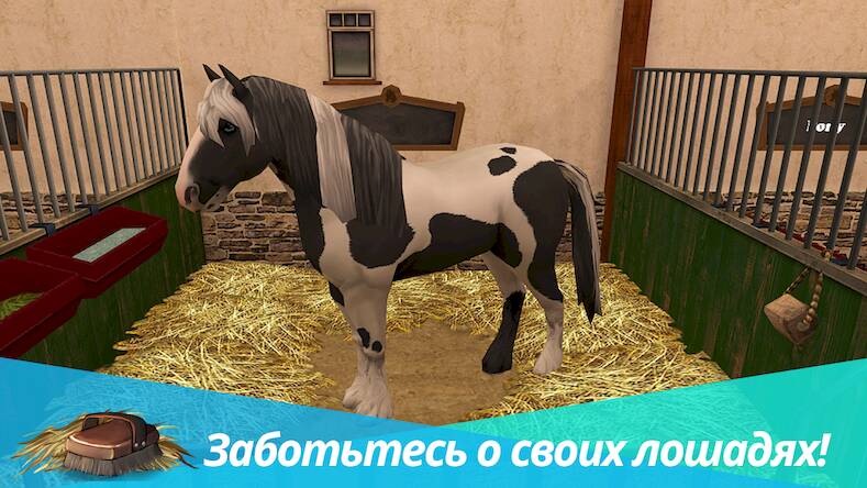 Скачать взломанную Horse World - моя верховая [Много денег] MOD apk на Андроид