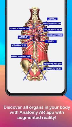Скачать взломанную Anatomy AR 4D - Virtual TShirt [Бесплатные покупки] MOD apk на Андроид